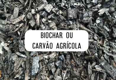 Biochar, carvão agrícola. Já ouviu falar?
.
Uma dica de ouro para cultivo em vas…