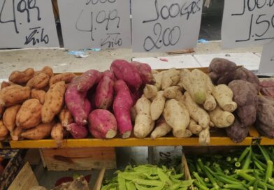 Amo quando tem o alinhamento dos planetas e na feira vem também a batata-doce-la…