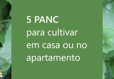 Bonitas, gostosas, fáceis de cuidar, tranquilas de preparar, encontradas em todo…