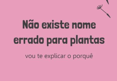 Nome popular é sempre válido. E varia muito. Por exemplo, aipim, mandioca e maca…