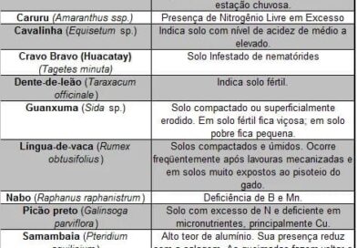 Pancs indicadoras de solo