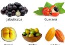 Frutas nativas do Brasil !!!

Dentre as 20 frutas mais consumidas no Brasil, ape…
