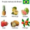 Pode ser uma imagem de texto que diz "Frutas nativas do Brasil Abacaxi Maracujá Goiaba Caju Cupuaçu Pitanga"