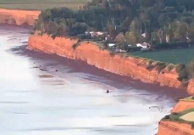 ???????? Quando fores à praia vais lembrar-te disto ❗️

Já te aconteceu ires à praia e veres a maré super baixa ou super alta, certo? Na verdade não é a maré que enche e esvazia: é a Terra que roda em direção à maré! A razão é simples: gravidade. Eis um ângulo diferente sobre com o Espaço influencia as marés!

As Forças de Maré são um fenómeno gravitacional que faz com que a face da Terra que está mais perto da Lua sinta mais o pull gravitacional da Lua, do que a face oposta. Isto porque, convém lembrar: a Lua também puxa a Terra para si, com a mesma força que a Terra puxa a Lua.

Isto faz com que este lado mais próximo acaba por ser “esticado”. Resultado? A água desta face da Terra que está a ser puxada pela Lua acaba por “esticar”. Daí o nome Forças de Maré. Como as marés são um corpo líquido, acabam por ser mais suscetíveis a estas forças.

E isto faz com que, na verdade, a Maré Alta esteja sempre no mesmo lado, alinhada com a Lua. Não são as marés que vão subindo e descendo; é a Terra que vai rodando sobre esta maré.

Isto acontece por exemplo no Interstellar: as ondas que vês no Miller’s Planet estão sempre no mesmo sítio; o planeta é que vai rodando na sua direção.

Mas…Plot twist! A Lua não é na verdade a protagonista nesta história das marés. É o Sol!

Estás a ver quando se diz que as marés são mais altas na Lua Cheia? É verdade, mas não é só por causa da Lua. O que é que acontece durante a Lua Cheia? A Terra está alinhada com o Sol e com a Lua. Isto faz com que o pull gravitacional do Sol também exerça Força de Maré sobre a Terra, mas do outro lado. Isto faz com que as marés estiquem ainda mais. Daí o fenómeno!

Mais ainda: é precisamente o efeito do Sol sobre as marés que determina o seu tamanho, numa dança de forças que vai moldando as marés. Por exemplo, as marés estão no seu ponto mais baixo quando o Sol está a 90º da Terra, anulando o efeito da Lua sobre o mar.

Portanto, o culpado foi sempre o Sol!

Resumindo: da próxima vez que fores à praia e a maré estiver baixa, vais lembrar-te deste vídeo!

Mantém-te na onda e já sabes: continua a dar Espaço ????