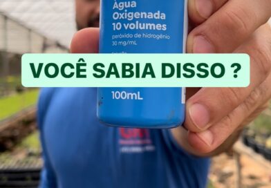 VOCÊ SABIA SOBRE A ÁGUA OXIGENADA NAS PLANTAS ?

Benefícios da água oxigenada – 10 volumes – para as plantas

1-Protege a planta dos ataques de fungos

2-Estimula a planta a gerar novas raízes

3-Favorece a germinação de sementes

4-Evitar o estresse hídrico (excesso ou falta de água)
Resguarda a planta do calor

5-Previne a podridão das plantas, inclusive das suculentas.

6-Favorece o desenvolvimento de raízes em plantas recém plantadas

2 colheres ???? de Sopa para 500 Ml de água

Gostaram da dica? Segue @gmrosadodeserto para MUUUITO mais!
.
.
.
.
.
.
#rosadodeserto #plantas #plants #dicas #pragas #doençasplantas #aguaoxigenada #flores #jardim #adeniumbrasil  #plantasnaturais  #agroecologia  #agro #floresnaturais  #gmrosadodeserto