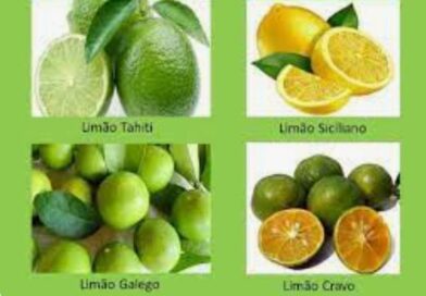 Os 5 benefícios do limão.
Confira uma lista de benefícios que o consumo do limão…