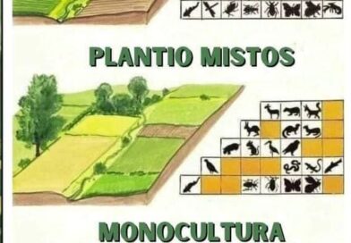 Viva o sistema agroflorestal !