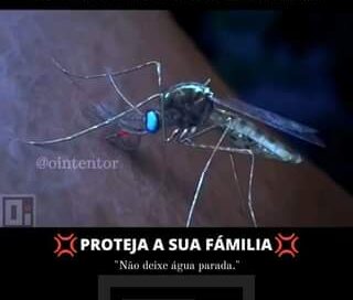 Proteja sua família, amigos e vizinhos do mosquito da dengue