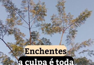 Precisamos focar nas SOLUÇÕES de problemas ambientais como esses que infelizmente estão acontecendo no Rio Grande do Sul, para isso, só temos um caminho…

A agricultura regenerativa…

1. O que é Agricultura Regenerativa?

Um sistema de produção agrícola que visa restaurar ecossistemas e melhorar a saúde do solo.

2. Importância da Agricultura Regenerativa

Ajuda a reter água no solo, evitando a erosão e reduzindo o escoamento superficial.

3. Benefícios para prevenir enchentes

Aumenta a infiltração da água no solo, evitando que escorra rapidamente para rios e causando enchentes.

4. Exemplos práticos

Plantio de árvores, cultivos diversificados e uso de técnicas de conservação do solo são práticas regenerativas.

Gostou do conteúdo?

Compartilhe essa informação importante e ajude a conscientizar mais pessoas sobre a Agricultura Regenerativa! ????????

#agriculturaregenerativa #agriculturasintropica #agrofloresta #enchentes #assoreamento #riograndedosul