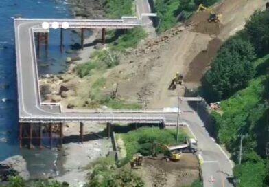 In just a few days, Japan built a new bridge to replace the old road while it is being fixed #organicfarming #design #naturalintelligence #naturalfarming
