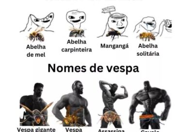 Nomes populares são engraçados né? Muitas vezes nos induzem a pensar algo que nã…
