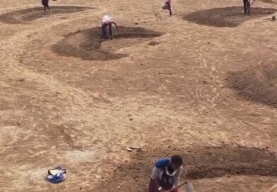 Este é o poder impressionante das soluções
baseadas na natureza em 30 segundos 0-
Estas três parcelas na área do nosso projecto em Arusha
tornam-se cada vez mais verdes a cada ano.De uma
terra estéril e degradada antes da escavação, em apenas
três anos já se transformaram em uma savana
lorescente e continuarão crescendo por muitos mais
anos. Você pode ver facilmente que as soluções
baseadas na natureza têm a capacidade de transformar
uma terra amplamente degradada em um pedaço de terra
saudável e precioso que beneficia as pessoas, a vida
selvagem e o planeta.
Imagens do nosso projeto em Arusha com @justdiggit
@aminhacoroficial