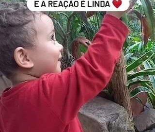 Uma cena linda pra vida ficar mais leve