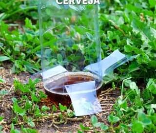 Alternativas Naturais para Combater Pragas e Manter Suas Plantas Saudáveis #jard…