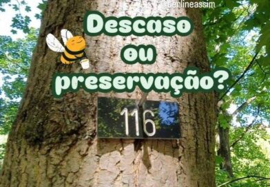 ???????? O que você acha dessa iniciativa? Descaso com a cidade ou preservação am????️iental??

???? Sabia que todas as árvores de Berlim têm uma plaquinha de identificação? Através dela o governo sabe tudo sobre cada uma das 430 mil árvores da cidade!

???? A musica de fundo é ‘Biene Maja’, a abelha Maja, a abelhinha mais famosa da Alemanha! 

#berlineassim #berlim #Alemanha #abelha #meioambiente #natureza #clima