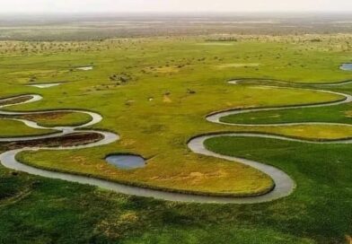 O Rio Okavango, o rio impossível 

O Rio Okavango, que brota em Angola e percorr…