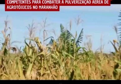 URGENTE: Comunidades pedem socorro às autoridades competentes para combater a pulverização aérea de agrotóxicos no Maranhão

O vídeo foi gravado na Comunidade Manoel dos Santos, no município de Timbiras e nele é possível visualizar o avião despejando veneno sobre uma  plantação de arroz já madura, que em breve poderia ser colhida, gerando alimento e renda para diversas famílias.

⚠ Não se trata de uma situação isolada, pois o mesmo ocorre em diversas comunidades do Maranhão. ⚠

De acordo com a última atualização do Mapa “Territórios Vitimados Diretamente por Agrotóxicos no Maranhão”, produzido pela Rama, @fetaema e @lepeng_ufma , que compreende o período de janeiro a maio de 2024, pelo menos 89 comunidades em 21 municípios do Maranhão vem sofrendo impactos pela pulverização aérea de agrotóxicos. ☢☢☢

A situação é estarrecedora! Comunidades relatam que o veneno é despejado de forma indiscriminada sobre rios e igarapés, roças, moradias e pessoas, causando adoecimento, insegurança alimentar e de acesso à água, prejuízos financeiros e em muitos casos, ameaças àqueles que denunciam esse crime contra a vida!

Estamos diante de uma verdadeira guerra química contra as comunidades tradicionais. Além de promover a grilagem de terras e o desmatamento de ecossistemas vitais como o Cerrado, a Amazônia maranhense e a Mata dos Cocais, essa guerra busca amedrontar as comunidades, forçando-as a abandonar suas terras para o avanço do agronegócio.

Para debater o tema e chamar atenção das autoridades competentes, na próxima terça-feira, dia 21 de maio, às 8h, será realizada uma Audiência Pública sobre a situação dos agrotóxicos no Maranhão.
O evento em formato híbrido, contará com transmissão via Zoom e encontro presencial no auditório da Fetaema.
Endereço: Rua Urucutiua, nº 11 – Araçagy, São José de Ribamar – MA

_________

Queremos Territórios Livres de Veneno! ????

Conheça e apoie nossa a Campanha “Chega de Agrotóxicos!”

#OAgroÉTóxico #chegadeagrotóxicos #campanhapermanentecontraosagrotoxicosepelavida #VozesDaAmazôniaPelaAçãoClimática #CoalizãoAmazôniaMaranhense #AgroecologiaParaProteçãoDasFlorestasDaAmazônia #VACBrasil #açãoclimática #voicesforjustclimateaction