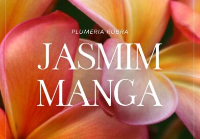 Com o seu perfume irresistível, o #jasmimmanga viajou pelo mundo todo e conquistou um lugar especial em diversas culturas ????

#plumeriarubra #plumeria #plumeriaflower #historia #curiosidades #funfacts #hawaii #americalatina #plantas #flores
