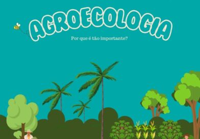 ???? Descubra como aplicar a agroecologia em sua propriedade ???? 

Diversifique culturas, adote práticas sustentáveis e integre elementos naturais para promover sistemas agrícolas mais resilientes e saudáveis. 

Juntos, podemos cultivar um futuro mais sustentável e equilibrado! ????????

Aprenda mais sobre agroecologia em nosso curso online! Link na bio