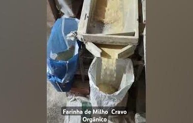 Farinha de Milho Cravo Orgânico