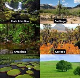 Resumo da Geopolítica Atual