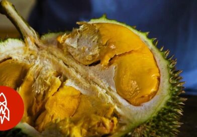 A mí me gusta mucho está fruta, es muy rica, pero quizás algunos la odian..