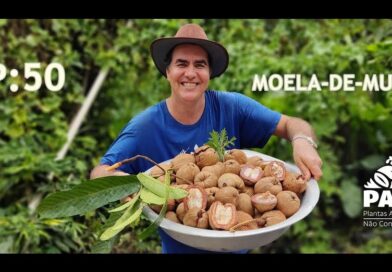 EPISÓDIO 50 – MOELA-DE-MUTUM | #pancnaveia #valdelykinupp