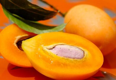 Bouea macrophylla / mapraang ou gandaria – E-Jardim