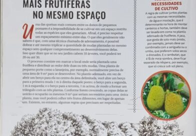 Já faz alguns anos, são centenas de dicas publicadas na revista natureza.
Esta f…