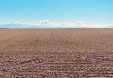 Aqui tinha uma floresta de bacuri.