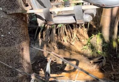 ????????????????
.
.
#vidanocampo #criatividade 
.
@dhonepancho