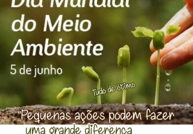 O cuidado com a natureza é  tudo.