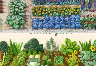 Tomates Odeiam Pepinos: Desvendando os Segredos do Plantio Companheiro
No dinâm…