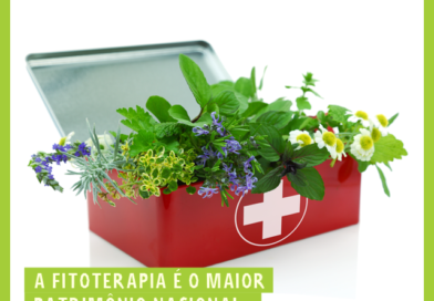 A Alemanha detêm hoje 39% de todo o mercado europeu de remédios Fitoterápicos, m…