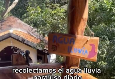 Despertar a la realidad en la que viven quienes eligen la Permacultura como sistema de vida.
Donde se respetan los ciclos naturales de las especies animales, árboles  y plantas.

Así se honra la experiencia humana que alineada a la fuente creadora cocrea su mejor aquí y ahora.

La Cultura Permanente busca crear espacios sostenibles donde se imiten los sistemas de la naturaleza y así pueda perdurar en el tiempo, transformando el presente y creando un futuro rico y abundante.ñ donde todo es valioso para todos.

???? Te invito a compartir este contenido para inspirar a más almas a vivirse en este despertar a nuestro ser verdadero, el espíritu creado en nosotros y en todo lo que nos rodea.

???? Conocías este sistema circular de vida y comunión? Reflexionemos porque nos alejamos de lo real, de la tierra? Te leo siempre.

???? Gracias por ser con vuestro canal, puente al servicio del bien mayor y de la expansión de la conciencia plena y el conocimiento @tierrapermacultura  y @madree.selvaa 

???? No copyright infringement. Remix done with Instagram 

#instagood #instagramers #permacultura #naturaleza #nature #eco #econews #nuevahumanidad #despertardeconsciencia #aliciagorbato #reels #reelsinstagram