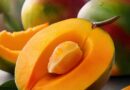 Do you like mangos?
 .
 ,
 #Frutas #Viral #USA
 #mango #Fruit #BOOMchallenge