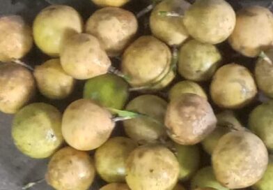 Con que nombre conoces esta fruta

Con que nombre conoces esta fruta