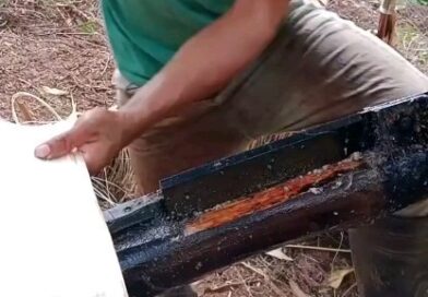 Fibra de bananeira, like para a navalha? Envia para um amigo? Cuide do seu amigo pet, caso fuja, use pin pet. Link na página do perfil.

#banana #planta #natureza #plantação #planeta #curiosidade #conhecimento #videonarrado