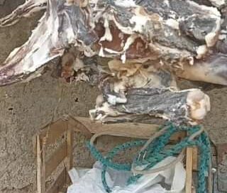 De esta manera se conservan las carnes