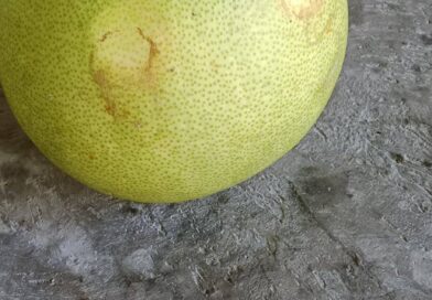 Con qué nombre conocen ésta fruta