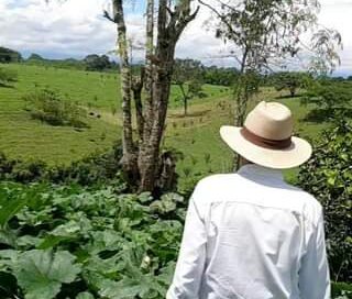 Ahuyama 3 meses de edad.
 #zapallo @todos @seguidores @destacar