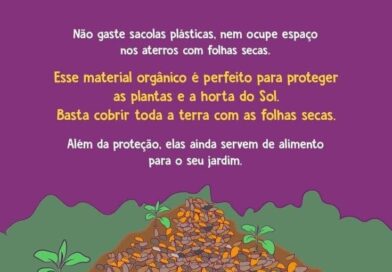 Entristece a quantidade de saco plástico que vejo, cheio de folhas secas dentro….