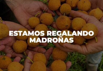 ¿Cuántas madroñas hay en el sombrero? La primera persona que comente el número exacto, le vamos a enviar un paquete de madroñas a cualquier parte de Colombia, donde se encuentre ????❤️