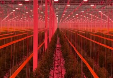 ???????? Em um belo dia nas estufas de alta tecnologia na Holanda, a gestão de mão de obra nos setores de agricultura e horticultura se destaca! Aqui, cultivamos tomates suculentos enquanto fornecemos a mão de obra necessária para garantir a produtividade máxima. ????????

Essa parceria entre empresas não só impulsiona a produção, mas também oferece condições de trabalho excepcionais para nossos colaboradores. Juntos, estamos colhendo os frutos de um trabalho em equipe bem-sucedido e sustentável! ???????? 

Crédito ???? Fonte: @trgtbrk
・・・
???? LANS and NL Jobs cooperate in labour management in the agriculture and horticulture sectors. LANS grows tomatoes in high-tech greenhouses, while NL Jobs provides the necessary labour. This partnership increases the productivity of both companies and offers good working conditions for their employees.
Não se esqueça de:
♡ ㅤ  ❍ ㅤ ㅤ ⎙ㅤ ㅤ  ⌲
curtir comentar    salvar     compartilhar 
Siga @geolugrafia para mais atualizações! 

#DesigndeInteriores #designdecasa #designgráfico #paisagem #arquiteturapaisagística #fotografiadepaisagem #geografia #geo #geography #education #educação #word #photography #edukasi #photooftheday #photo #GestãoDeMãoDeObra #Agricultura #Horticultura #EstufasDeAltaTecnologia #Holanda #TrabalhoEmEquipe