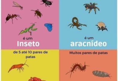 Utilidade pública.
