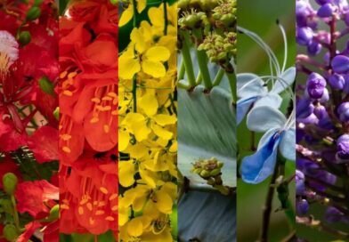 28 de junho – Dia do Orgulho LGBTQIAP+ 

O Dia do Orgulho LGBTQIAP+, comemorado …