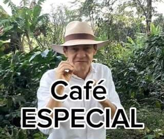 Como es el ambiente, el entorno, la sensación térmica de un cultivo de café espe…