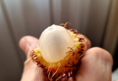 Como se llama en tu país  esta fruta