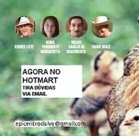 Produção Orgânica de Ovos com Romeu Leite e convidados. – Epicentro Dalva | Hotmart
