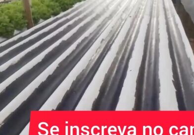Oi galera do grupo obrigado pelo carinho ajuda a gente divulgar o nosso canal es…